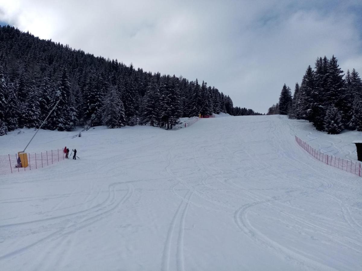 Comodo Alloggio Con Accesso Diretto Alle Piste Santa Caterina di Valfurva Exterior foto